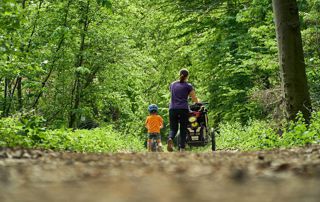 balade famille forêt